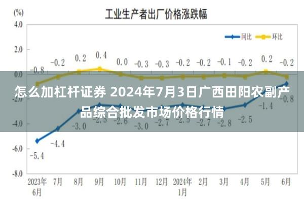 怎么加杠杆证券 2024年7月3日广西田阳农副产品综合批发市场价格行情