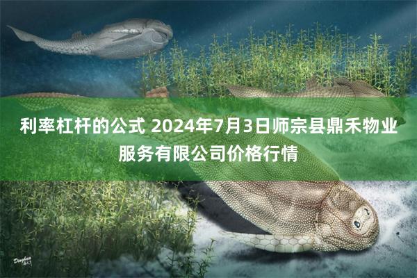 利率杠杆的公式 2024年7月3日师宗县鼎禾物业服务有限公司价格行情