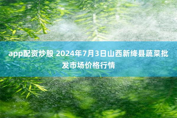 app配资炒股 2024年7月3日山西新绛县蔬菜批发市场价格行情