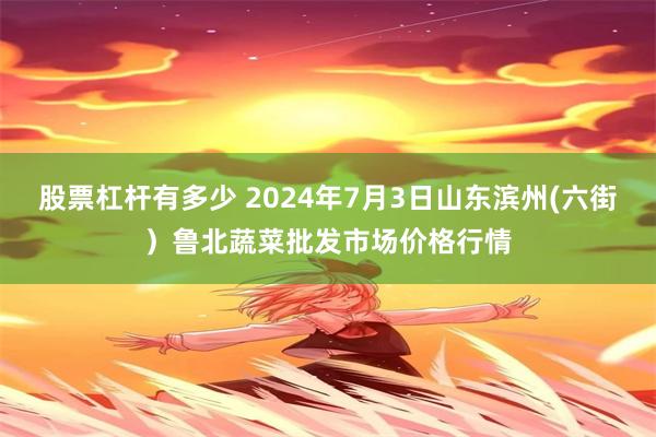 股票杠杆有多少 2024年7月3日山东滨州(六街）鲁北蔬菜批发市场价格行情