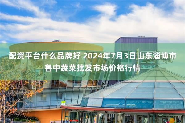 配资平台什么品牌好 2024年7月3日山东淄博市鲁中蔬菜批发市场价格行情