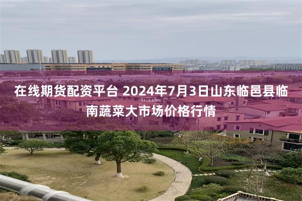 在线期货配资平台 2024年7月3日山东临邑县临南蔬菜大市场价格行情