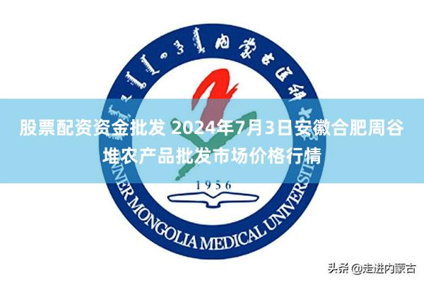 股票配资资金批发 2024年7月3日安徽合肥周谷堆农产品批发市场价格行情