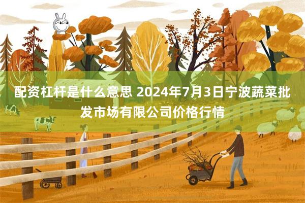 配资杠杆是什么意思 2024年7月3日宁波蔬菜批发市场有限公司价格行情