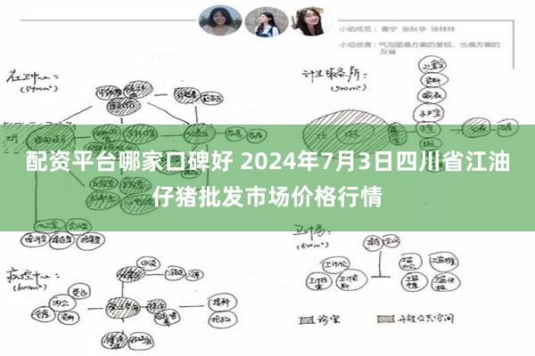 配资平台哪家口碑好 2024年7月3日四川省江油仔猪批发市场价格行情