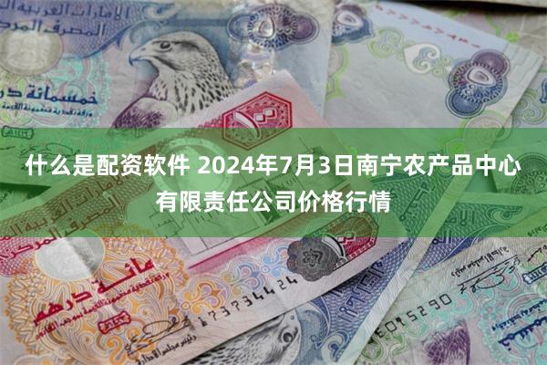 什么是配资软件 2024年7月3日南宁农产品中心有限责任公司价格行情