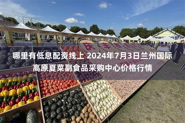 哪里有低息配资线上 2024年7月3日兰州国际高原夏菜副食品采购中心价格行情