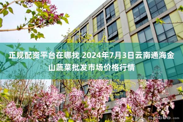 正规配资平台在哪找 2024年7月3日云南通海金山蔬菜批发市场价格行情