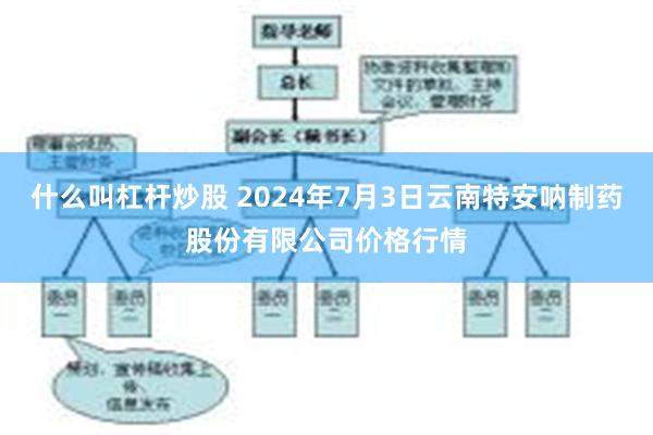 什么叫杠杆炒股 2024年7月3日云南特安呐制药股份有限公司价格行情