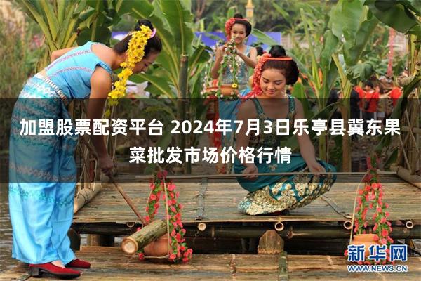 加盟股票配资平台 2024年7月3日乐亭县冀东果菜批发市场价格行情