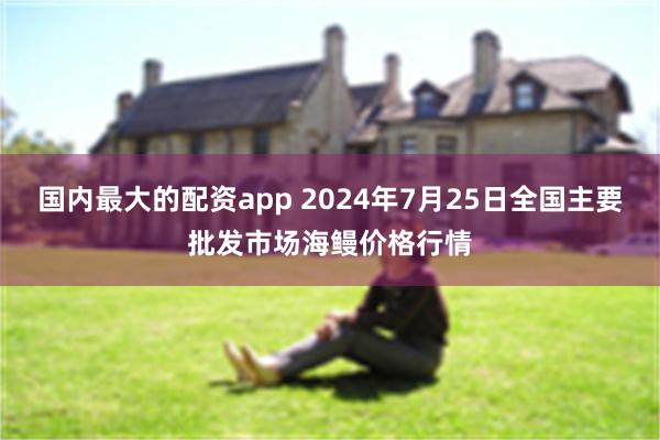 国内最大的配资app 2024年7月25日全国主要批发市场海鳗价格行情