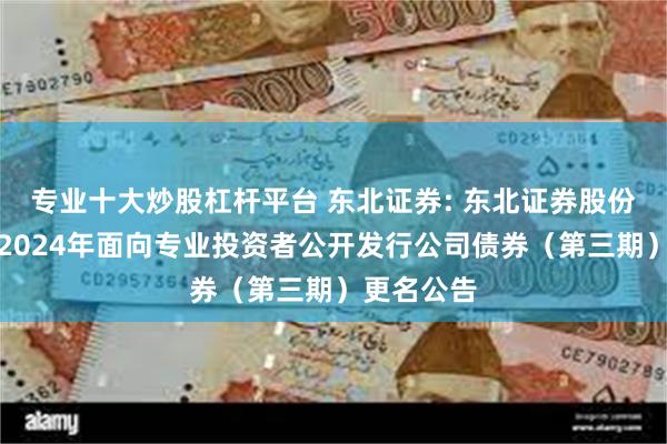 专业十大炒股杠杆平台 东北证券: 东北证券股份有限公司2024年面向专业投资者公开发行公司债券（第三期）更名公告