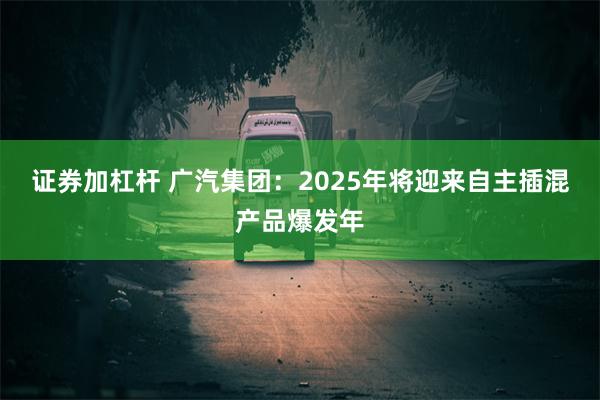 证券加杠杆 广汽集团：2025年将迎来自主插混产品爆发年