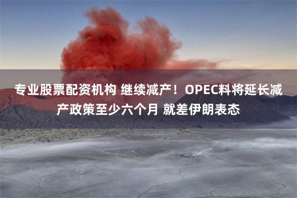 专业股票配资机构 继续减产！OPEC料将延长减产政策至少六个月 就差伊朗表态