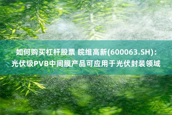 如何购买杠杆股票 皖维高新(600063.SH)：光伏级PVB中间膜产品可应用于光伏封装领域