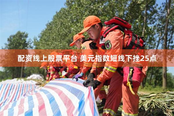 配资线上股票平台 美元指数短线下挫25点