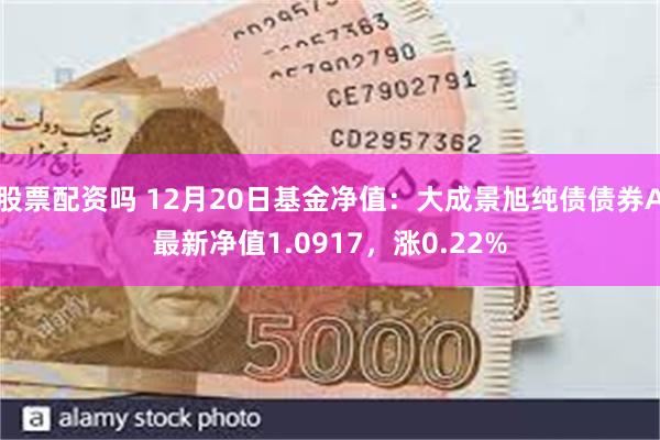 股票配资吗 12月20日基金净值：大成景旭纯债债券A最新净值1.0917，涨0.22%