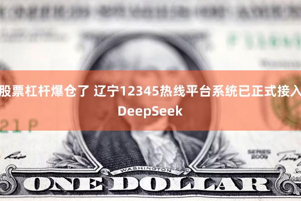 股票杠杆爆仓了 辽宁12345热线平台系统已正式接入DeepSeek