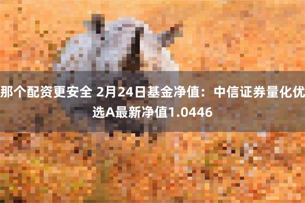 那个配资更安全 2月24日基金净值：中信证券量化优选A最新净值1.0446