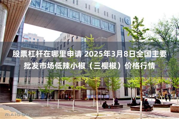 股票杠杆在哪里申请 2025年3月8日全国主要批发市场低辣小椒（三樱椒）价格行情